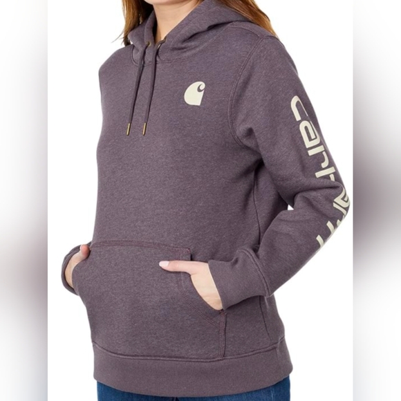 Carhartt Tops - Carhartt Clarksburg Graphic Sleeve Logo Hoodie Size M MSRP $59.99